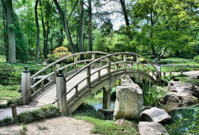 Fantasy Garden